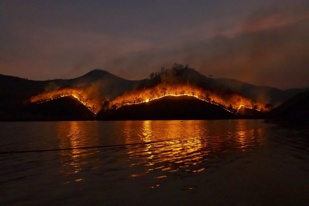 Lo que podemos aprender de los incendios forestales australianos